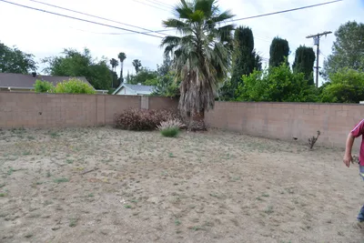 DSC_7322 (Large).JPG